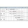 画像3: [トマト/桃太郎系]　桃太郎８　16粒 　タキイ種苗（株）　DF　 (3)