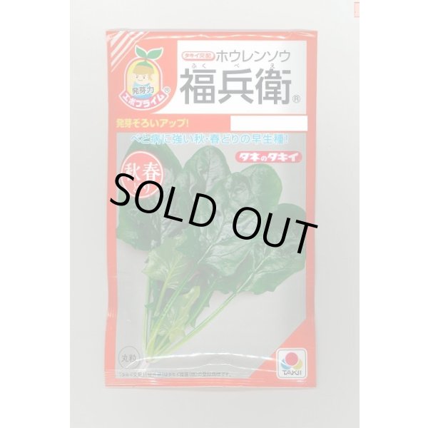 画像1: 送料無料　[ほうれんそう]　福兵衛　40ml　タキイ種苗(株)　RF (1)