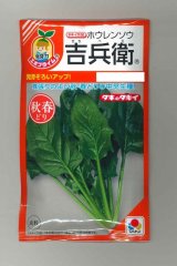 画像: 送料無料　[ほうれんそう]　吉兵衛　40ml　タキイ種苗(株)　RF