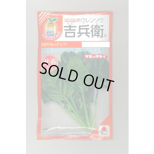 画像1: 送料無料　[ほうれんそう]　吉兵衛　40ml　タキイ種苗(株)　RF (1)
