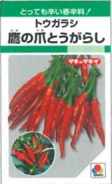 画像: 送料無料　とうがらし種　鷹の爪　約360粒　タキイ種苗　GF