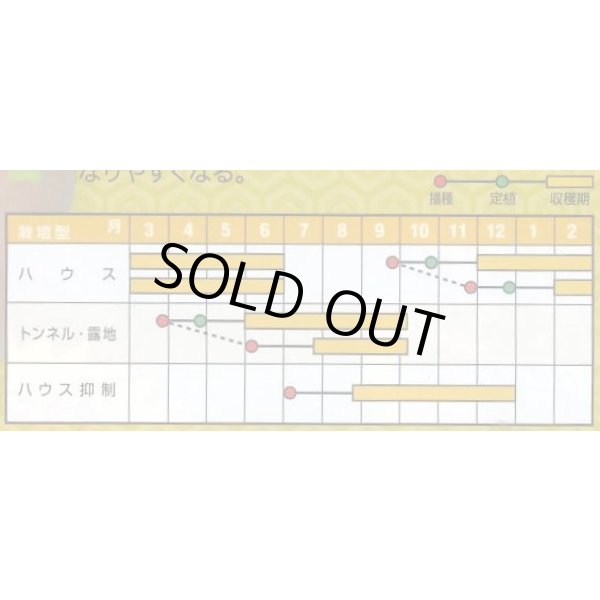 画像5: 送料無料　[オクラ]　大奥　2000粒　ナント種苗(株) (5)