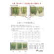 画像4: [オクラ]　大奥　1万粒　ナント種苗（株） (4)