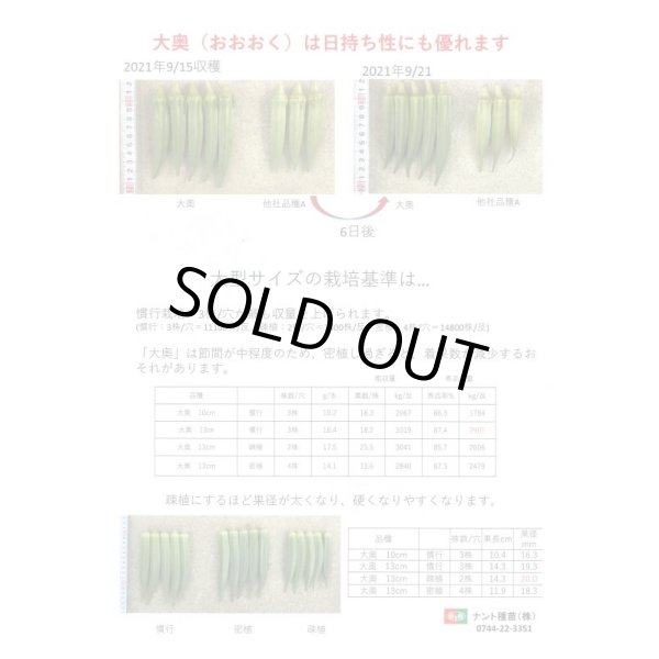 画像4: 送料無料　[オクラ]　大奥　2000粒　ナント種苗(株) (4)