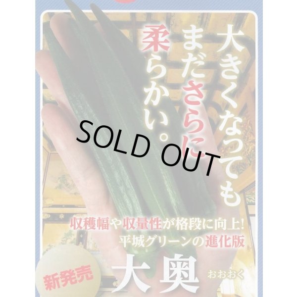 画像2: 送料無料　[オクラ]　大奥　6ml(約60粒)　ナント種苗(株) (2)