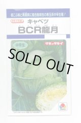 画像: 送料無料　[キャベツ]　ＢＣＲ龍月　160粒　タキイ種苗(株)　DF