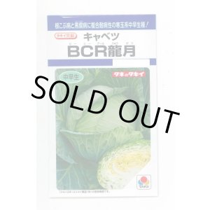画像: 送料無料　[キャベツ]　ＢＣＲ龍月　160粒　タキイ種苗(株)　DF