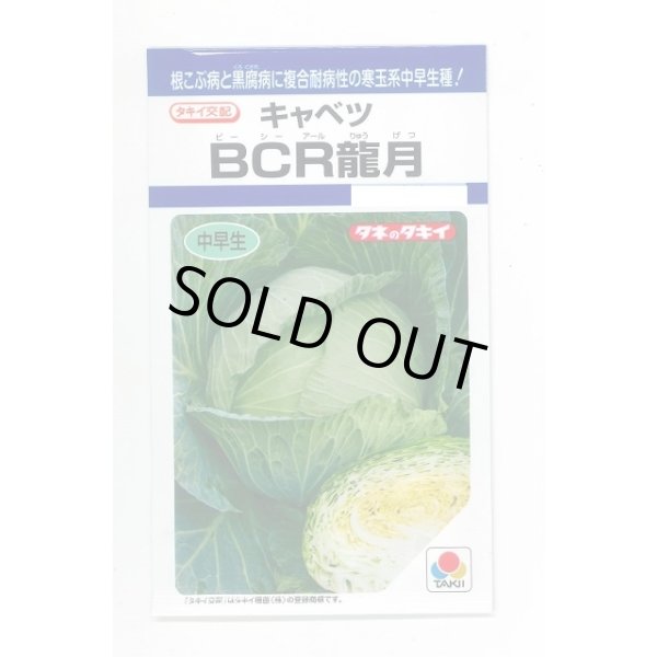 画像1: [キャベツ] ＢＣＲ龍月 160粒 タキイ種苗(株) DF (1)