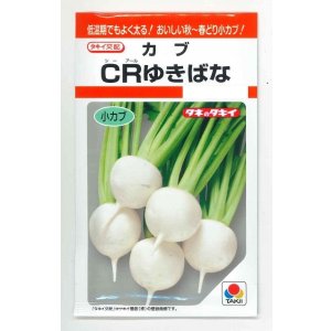画像: 送料無料　[かぶ]　CRゆきばな　3ml　タキイ種苗(株)　RF