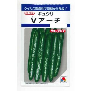 画像: 送料無料　[キュウリ]　Ｖアーチ　10粒　タキイ種苗(株)　DF