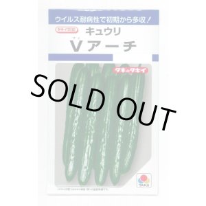 画像: 送料無料　[キュウリ]　Ｖアーチ　10粒　タキイ種苗(株)　DF
