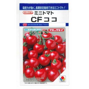 画像: [トマト/ミニトマト]　CFココ　16粒　タキイ種苗　DF　