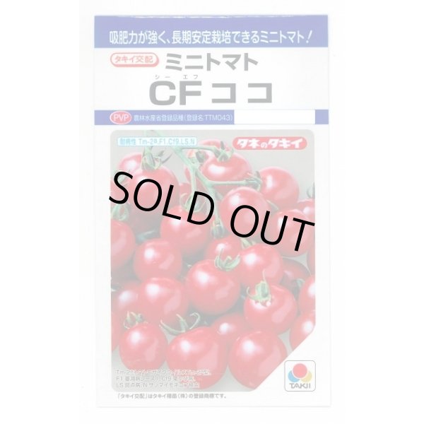 画像1: 送料無料　[トマト/ミニトマト]　CFココ　16粒　タキイ種苗　DF (1)