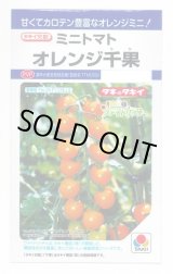 画像: 送料無料　[トマト/ミニトマト]　オレンジ千果　小袋(16粒)　タキイ種苗(株)　DF