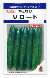 画像: 送料無料　[キュウリ]　Vロード　10粒　タキイ種苗(株)　DF