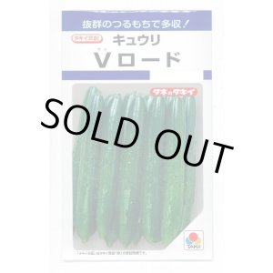画像: 送料無料　[キュウリ]　Vロード　10粒　タキイ種苗(株)　DF