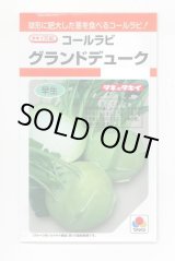 画像: 送料無料　[キャベツ]　コールラビ　グランドデューク　1.3ml　タキイ種苗(株)　RF