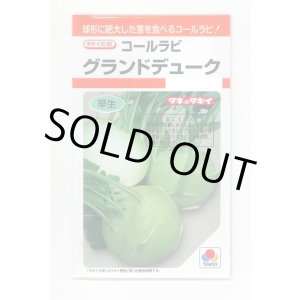 画像: 送料無料　[キャベツ]　コールラビ　グランドデューク　1.3ml　タキイ種苗(株)　RF