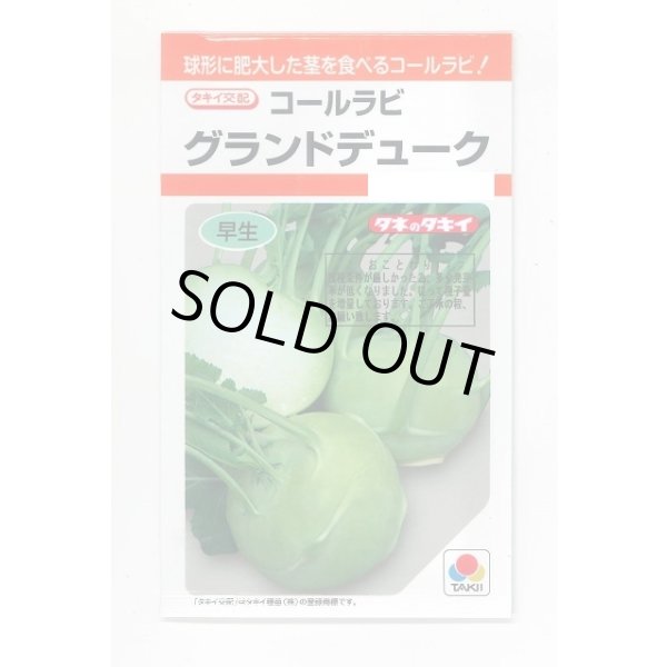 画像1: 送料無料　[キャベツ]　コールラビ　グランドデューク　1.3ml　タキイ種苗(株)　RF (1)