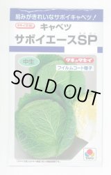 画像: [キャベツ] サボイエースSP 160粒 タキイ種苗(株) DF
