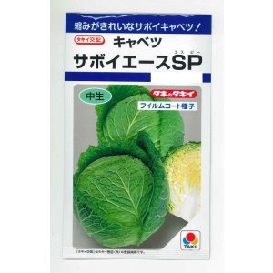 画像: 送料無料　[キャベツ]　サボイエースSP　160粒　タキイ種苗(株)　DF