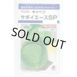 画像: 送料無料　[キャベツ]　サボイエースSP　160粒　タキイ種苗(株)　DF