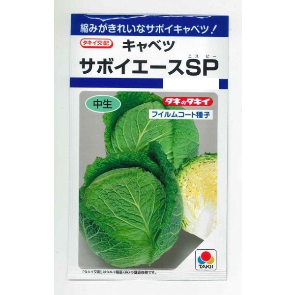 画像1: 送料無料　[キャベツ]　サボイエースSP　160粒　タキイ種苗(株)　DF (1)