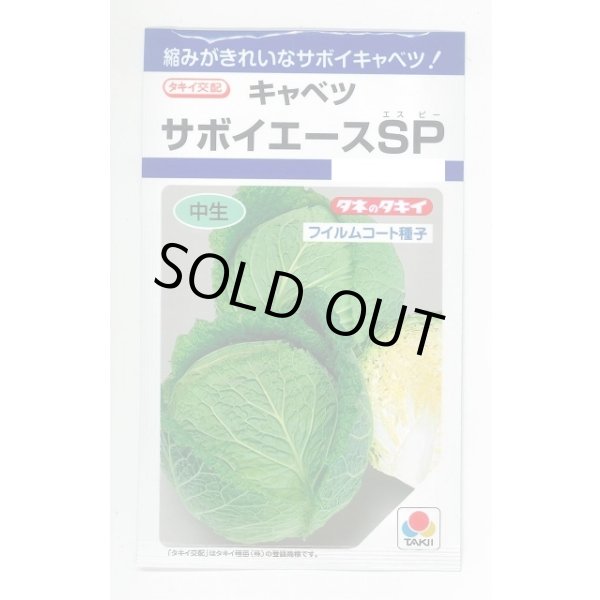 画像1: 送料無料　[キャベツ]　サボイエースSP　160粒　タキイ種苗(株)　DF (1)