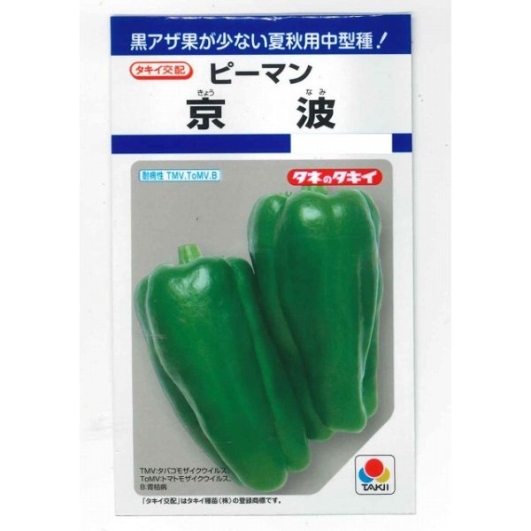 画像1: 送料無料　[ピーマン]　京波　45粒　タキイ種苗(株)　DF (1)