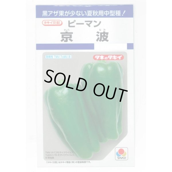 画像1: 送料無料　[ピーマン]　京波　45粒　タキイ種苗(株)　DF (1)