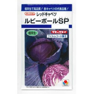 画像: [キャベツ]　ルビーボールSP　130粒　タキイ種苗　DF