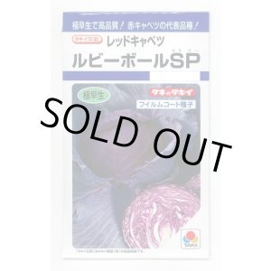画像: [キャベツ] ルビーボールSP 130粒 タキイ種苗 DF