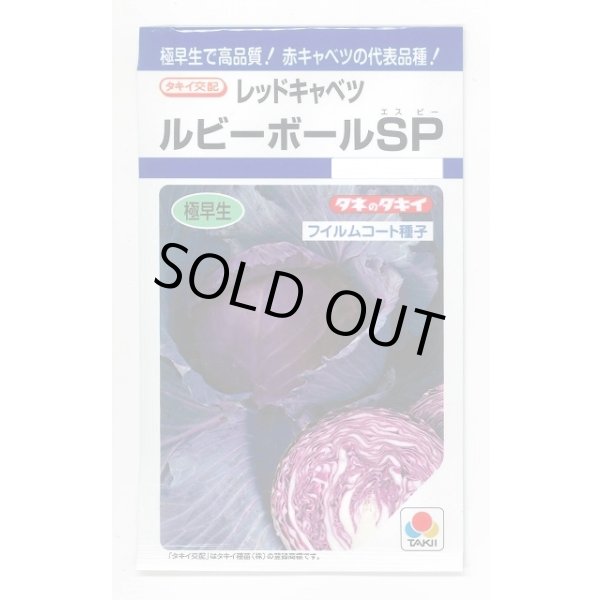 画像1: [キャベツ] ルビーボールSP 130粒 タキイ種苗 DF (1)