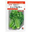 画像1: 送料無料　[葉物]　セルリー　トップセラー　0.7ml　タキイ種苗(株)　RF (1)