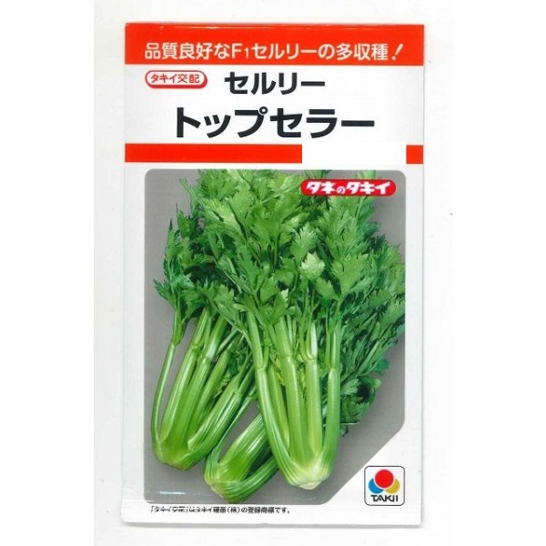 画像1: 送料無料　[葉物]　セルリー　トップセラー　0.7ml　タキイ種苗(株)　RF (1)