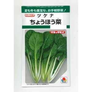 画像: [葉物]　ちょうほう菜　7ml　タキイ種苗（株）　GF