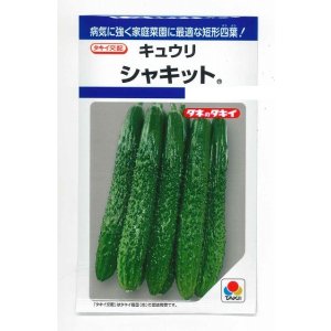 画像: 送料無料　[キュウリ]　シャキット　15粒　タキイ種苗(株)　DF