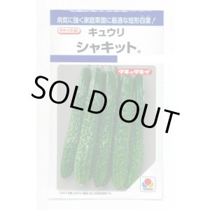 画像: 送料無料　[キュウリ]　シャキット　15粒　タキイ種苗(株)　DF
