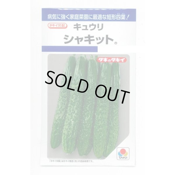 画像1: 送料無料　[キュウリ]　シャキット　15粒　タキイ種苗(株)　DF (1)