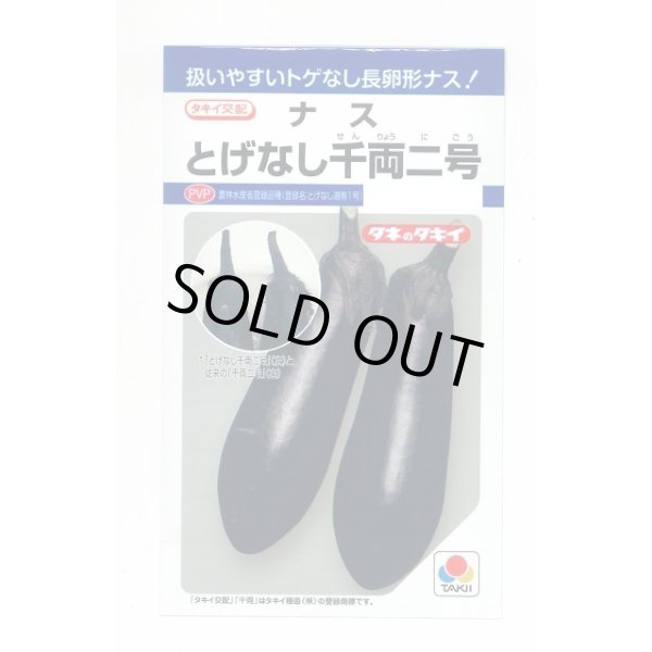 画像1: 送料無料　[なす]　とげなし千両二号　35粒　タキイ種苗(株)　DF (1)