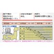 画像3: 送料無料　[ピーマン]　京波　1000粒　タキイ種苗(株) (3)