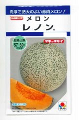 画像: 送料無料　[メロン]　レノン　6粒　タキイ種苗　DF
