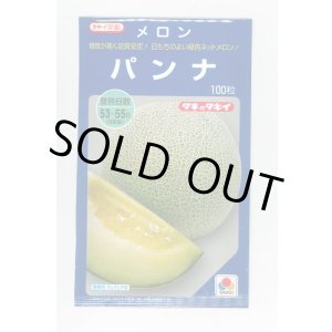 画像: 送料無料　[メロン]　パンナ　100粒　タキイ種苗