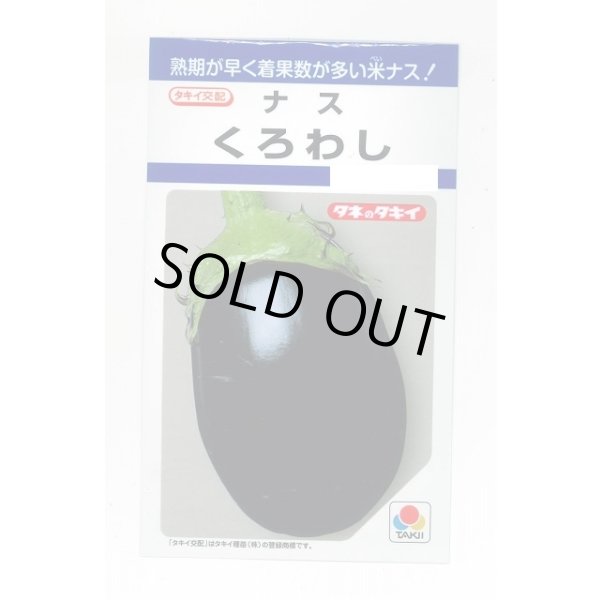 画像1: 送料無料　[なす]　くろわし　60粒　タキイ種苗(株)　DF (1)