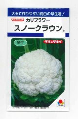 画像: 送料無料　[カリフラワー]　スノークラウン　1.3ml　タキイ種苗(株)　DF