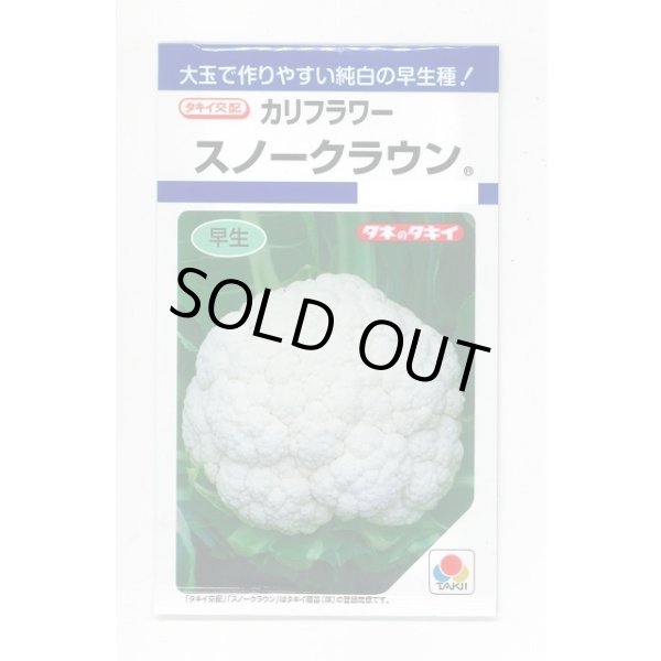 画像1: 送料無料　[カリフラワー]　スノークラウン　1.3ml　タキイ種苗(株)　DF (1)