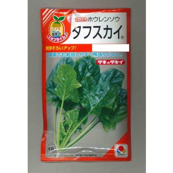 画像1: 送料無料　[ほうれんそう]　タフスカイ　40ml　タキイ種苗(株)　RF (1)