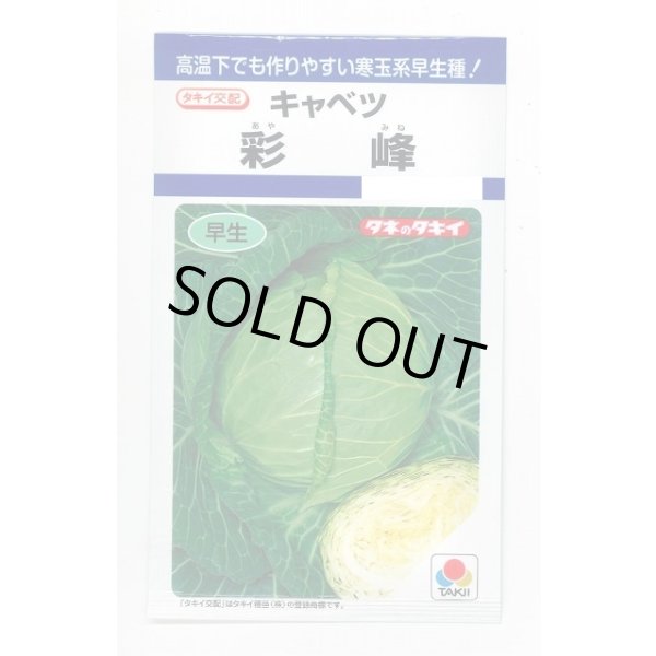 画像1: [キャベツ] 彩峰 1ml(約120粒) タキイ種苗(株) DF (1)