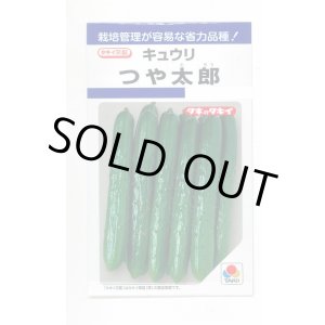 画像: 送料無料　[キュウリ]　つや太郎　15粒　タキイ種苗(株)　DF