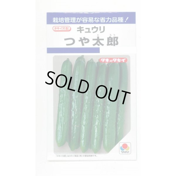 画像1: [キュウリ] つや太郎 15粒 タキイ種苗(株) DF (1)
